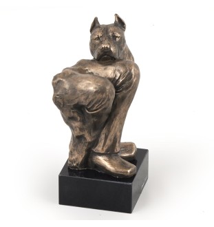 Amerykański Staffordshire terrier głowa na kamieniu Art-Dog